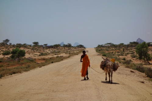 Samburu and mule